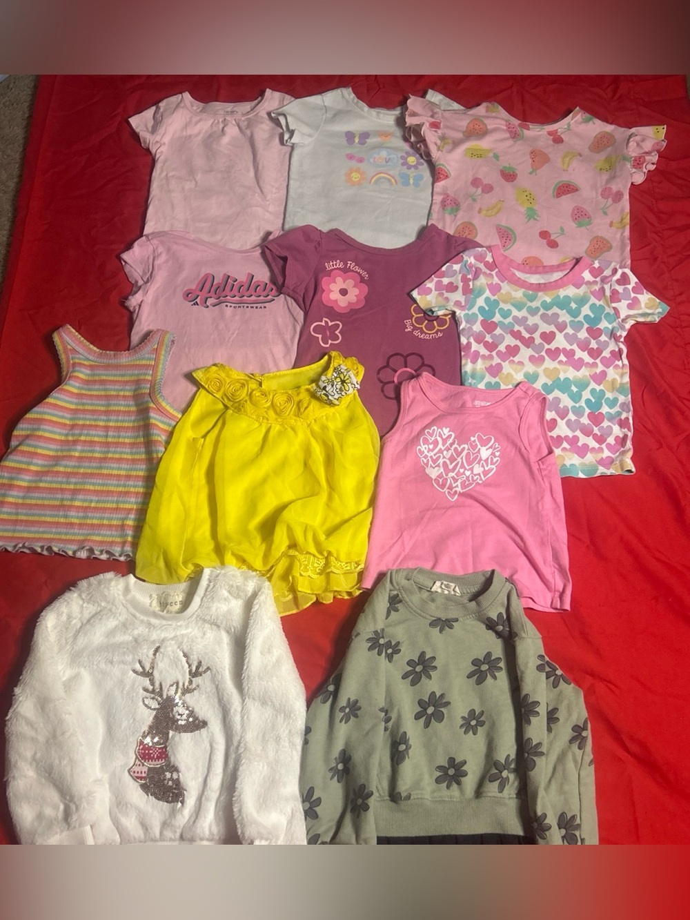 Toddler Girls Clothing Bundle